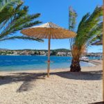 Profilna fotografija Maja Šolar